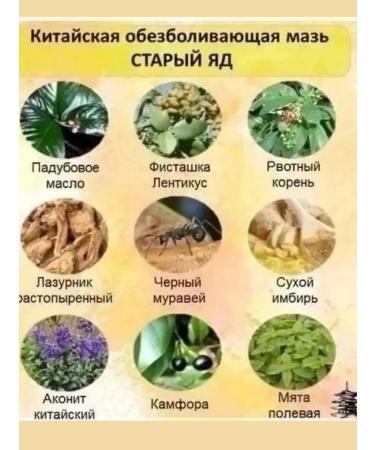 Ellie Plu An ointment of anesthetic anti -inflammatory for joints - Buy Online on GoSupps.com