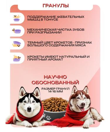 KAISER Dry food for medium and large dogs with salmon 5kg - Buy Online on GoSupps.com