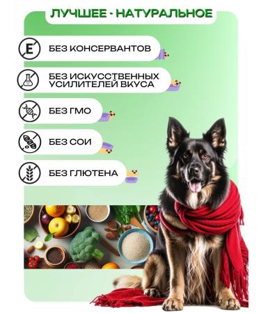 KAISER Dry food for medium and large dogs with beef 5 kg - Buy Online on GoSupps.com