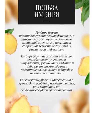 The Good Beekeeper Honey with ginger and lemon 3050 g - Buy Online on GoSupps.com