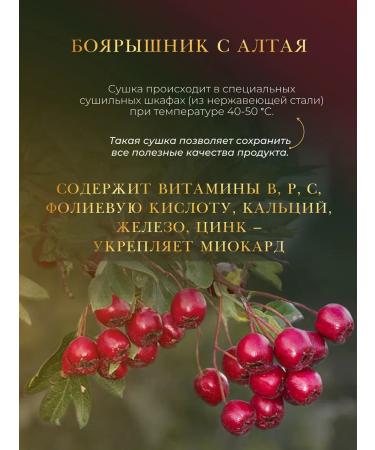 FOREST LINE Ivan - tea with a hawthorn of deep fermentation 100g - Buy Online on GoSupps.com