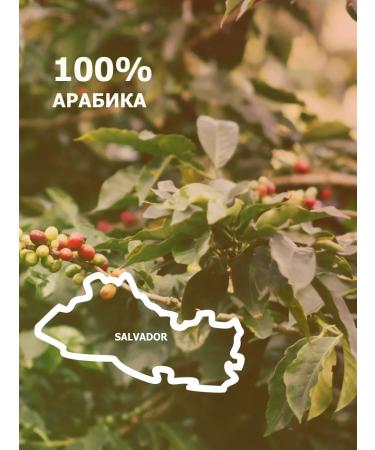 GRACIAS Coffee in grains Salvador SHG Arabica 1 kg - Buy Online on GoSupps.com