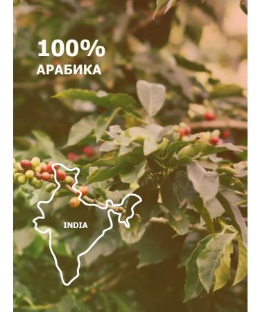 GRACIAS Coffee in grains India Monsund Malabar arabica 1 kg - Buy Online on GoSupps.com