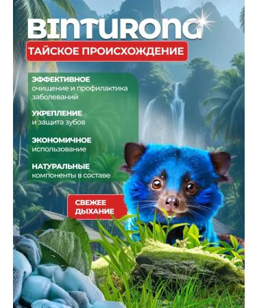 Binturong Toothpaste with anise - Buy Online on GoSupps.com