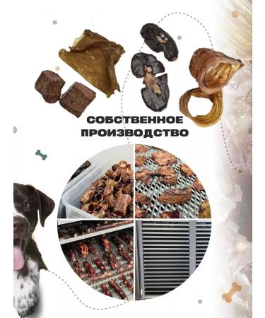 Chapa A set of treats for dogs - Buy Online on GoSupps.com