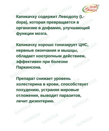 Shri Ganga Kapikachhu Kapikachhu Sri Ganges 1x120 tab - Buy Online on GoSupps.com