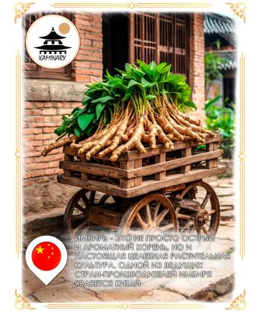 FIREPLACE Pickled white ginger for land and rolls 1.25 kg - Buy Online on GoSupps.com