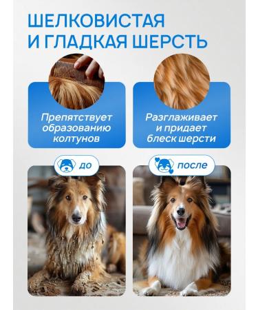 SEPTIVIT Dogs for dogs with long wool Pets 5 liters - Buy Online on GoSupps.com