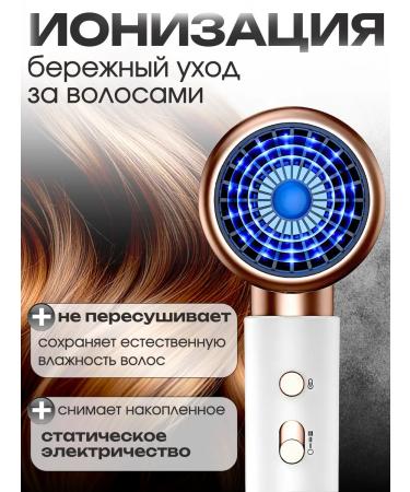 BREVIORA Hair dryer - Buy Online on GoSupps.com