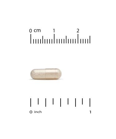 California Gold Nutrition Spermidine rice extract 1 mg 90 capsules - Buy Online on GoSupps.com