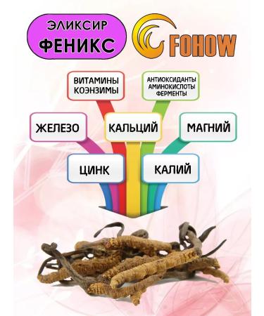 Fohow Elixir Phoenix with Cordyceps - Buy Online on GoSupps.com