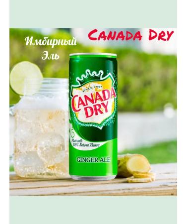 Canada Dry Gambled Canada Drai Ginger ale - Buy Online on GoSupps.com