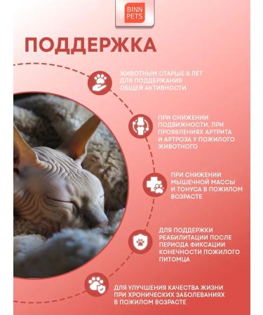 BINN PETS Collagen for cats additive Vetaptektec Senior - Buy Online on GoSupps.com