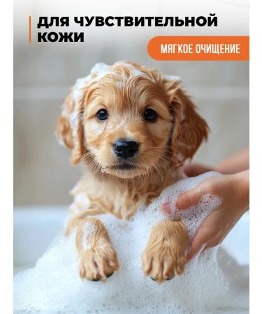 SPETS Foiled shampoo for kittens and puppies hypoallergenic 200 ml - Buy Online on GoSupps.com