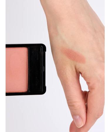 TF Cosmetics Dry blush Perfect Powder Rouge tone 05 champagne - Buy Online on GoSupps.com