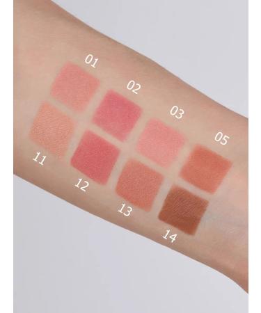 TF Cosmetics Dry blush Perfect Powder Rouge tone 14 cinnamon - Buy Online on GoSupps.com