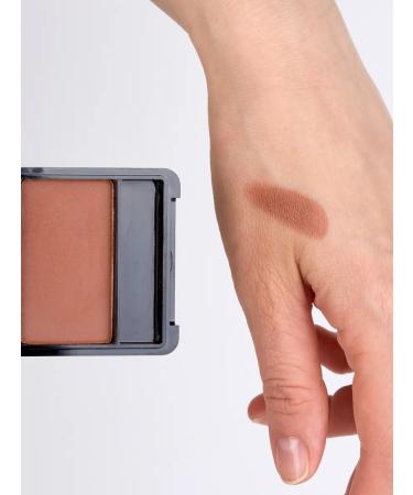 TF Cosmetics Dry blush Perfect Powder Rouge tone 14 cinnamon - Buy Online on GoSupps.com