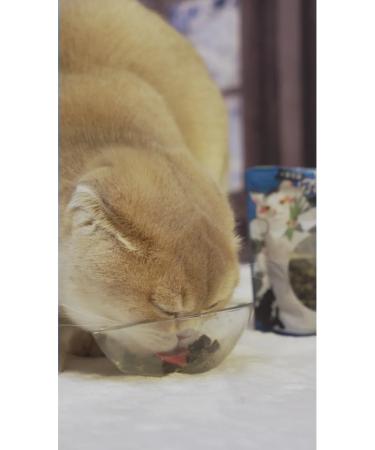 Japan Premium Pet A treat with feline mint and grass 3 - Buy Online on GoSupps.com