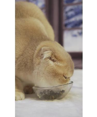 Japan Premium Pet A treat with feline mint and grass 3 - Buy Online on GoSupps.com