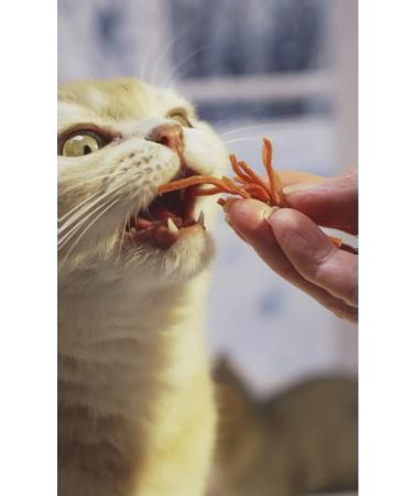 Japan Premium Pet A treat for cats straws with a scurry 3 - Buy Online on GoSupps.com