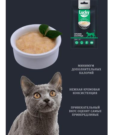 Lucky bits Assorted treats Cream - cat soup 3 to 5x20 g - Buy Online on GoSupps.com