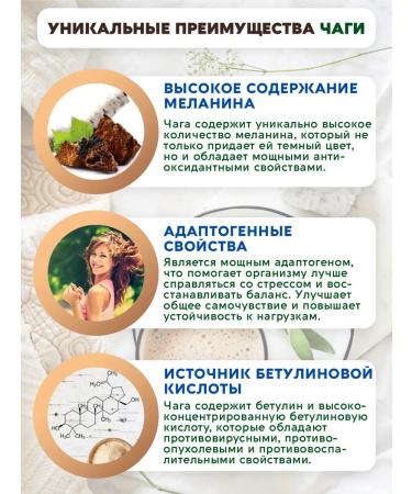 Vasteko Drink of a non -nof with chaga and coconut milk soluble 170g - Buy Online on GoSupps.com
