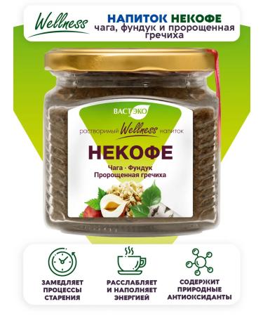 Vasteko Drink of a non -nof with chaga hazelnut and germinated buckwheat 170g