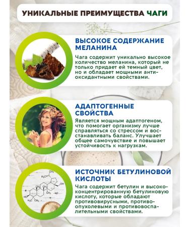 Vasteko Drink of a non -nof with chaga hazelnut and germinated buckwheat 170g - Buy Online on GoSupps.com