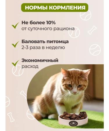 vkusnopet Goodies for dogs and cats light beef - Buy Online on GoSupps.com