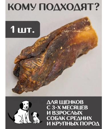 FOR RODENT DOG Dog treats bull root (base) 10 cm 50 g - Buy Online on GoSupps.com
