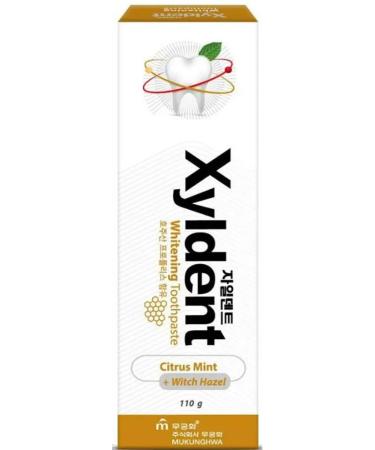 MUKUNGHWA Toothpaste Citrus and Hamamelis Xyldent 2 pieces of 110 g - Buy Online on GoSupps.com