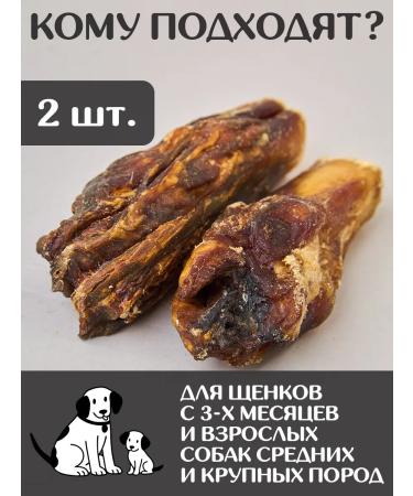 FOR RODENT DOG Dog treats bull root (base) 10 cm 100 g - Buy Online on GoSupps.com