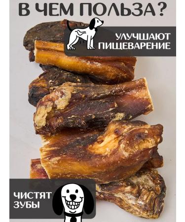 FOR RODENT DOG Dog treats bull root (base) 10 cm 300 g - Buy Online on GoSupps.com