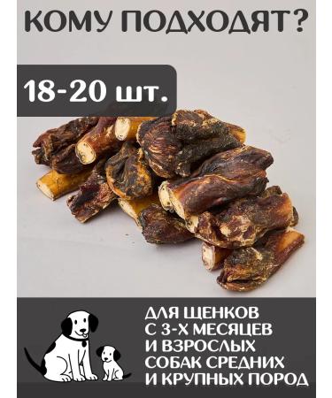 FOR RODENT DOG Dog treats bull root (base) 10 cm 1000 g - Buy Online on GoSupps.com