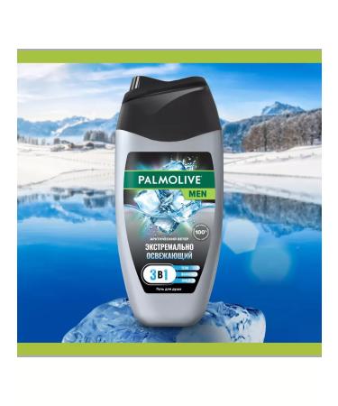 PALMOLIVE Male shower gel 2 pcs 250 ml - Buy Online on GoSupps.com