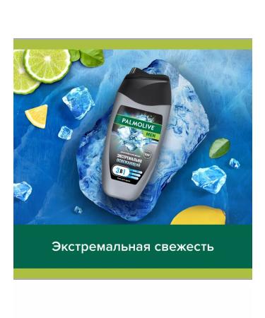 PALMOLIVE Male shower gel 2 pcs 250 ml - Buy Online on GoSupps.com
