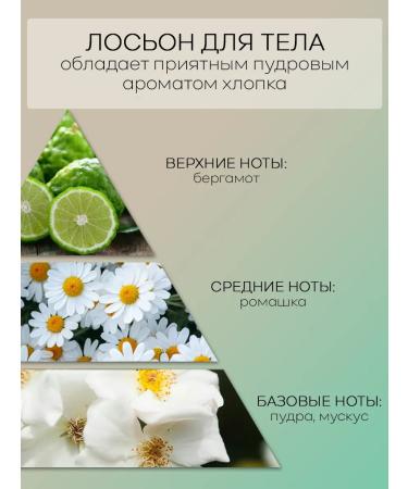 JMSolution Body lotion perfumed Marine Cotton 500 ml - Buy Online on GoSupps.com