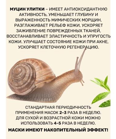 Fabric face masks with mucin snails 15 pcs - Buy Online on GoSupps.com