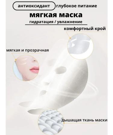 Fabric face masks with mucin snails 15 pcs - Buy Online on GoSupps.com