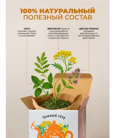 EthnoSiberian Herbal collection tea with tansy and St. John's wort for the liver of phytochai - Buy Online on GoSupps.com