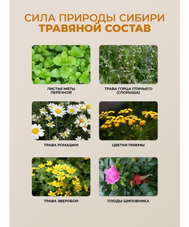 EthnoSiberian Herbal collection tea with tansy and St. John's wort for the liver of phytochai - Buy Online on GoSupps.com