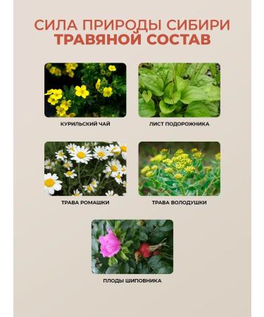EthnoSiberian Herbal collection with chamomile and rosehip tea for digestion - Buy Online on GoSupps.com