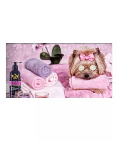 Apicenna Shampoo for cats sphinx 200ml - Buy Online on GoSupps.com