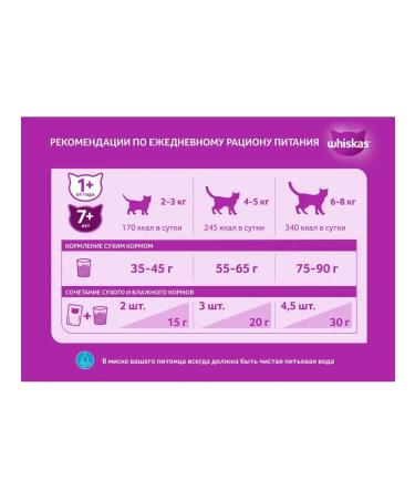 WHISKAS Cat food paste pads beef 1.3 kg - Buy Online on GoSupps.com