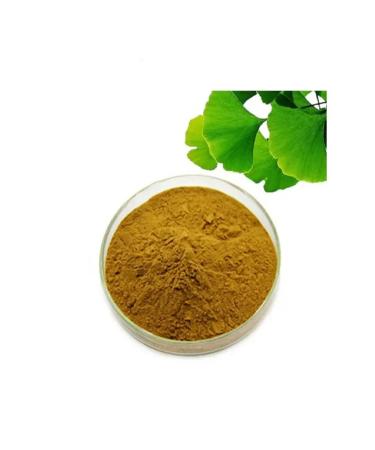 STOING Ginkgo bilobe powder flavonoids 24% carcass 100 grams - Buy Online on GoSupps.com