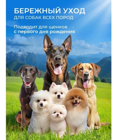 Mint Altai Shampoo for dogs - Buy Online on GoSupps.com