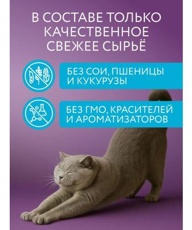 Marly&Molly Dry food for cats fish 1.5 kg - Buy Online on GoSupps.com