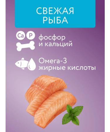 Marly&Molly Dry food for cats fish 1.5 kg - Buy Online on GoSupps.com