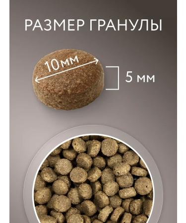 Marly&Molly Cat food dry chicken 1.5 kg - Buy Online on GoSupps.com