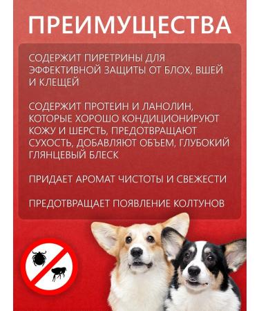 BioGroom Shampoo against the block and ticks concentrate 1 to 4 - Buy Online on GoSupps.com